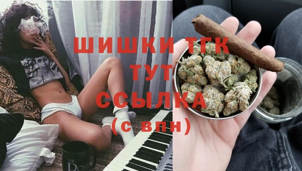 стафф Щёлкино