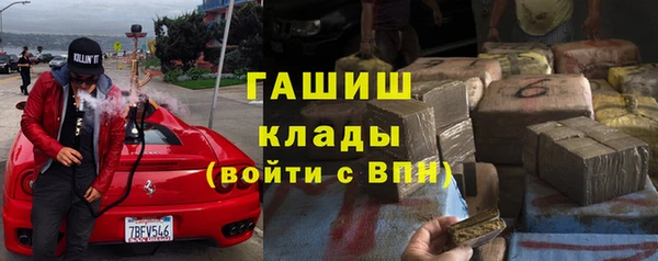 стафф Щёлкино